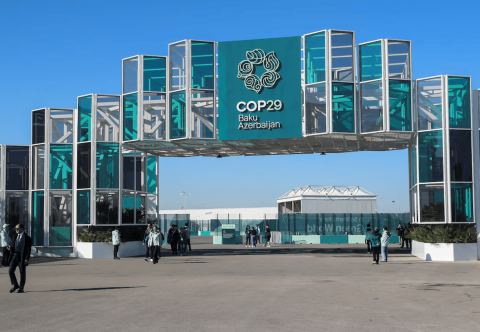 Breakthrough for the global carbon market at COP29